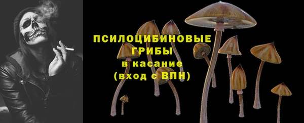 прущая мука Арсеньев