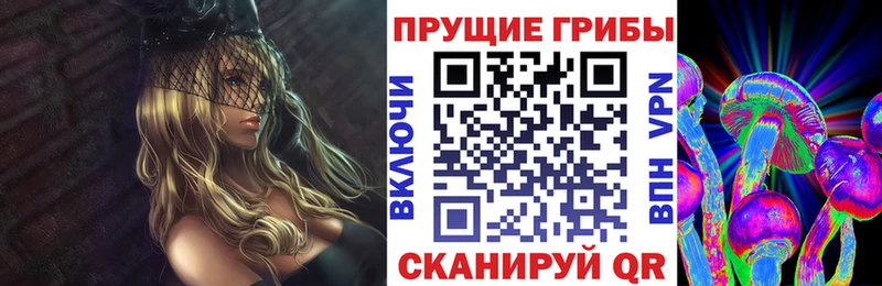 Псилоцибиновые грибы Cubensis  Сальск 